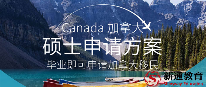 新通外语