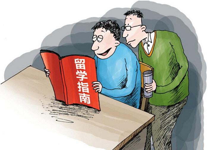 上海张江国际教育