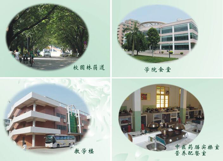 南大职业