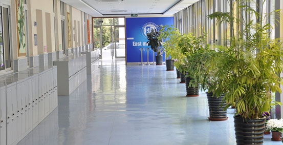 上海市教科实验中学