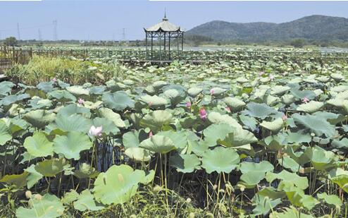 武汉趣野教育
