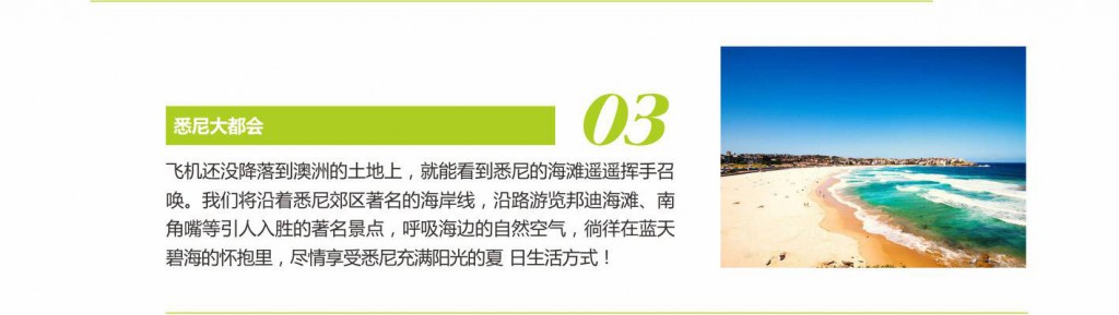 学员研究报告