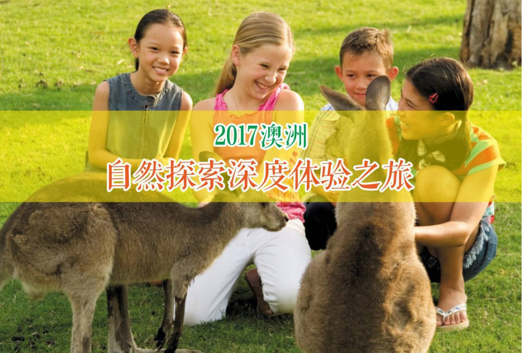中美学生文化交流活动