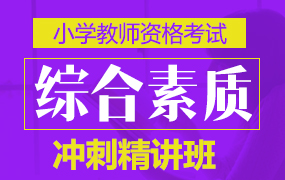 教资冲刺班课程体系