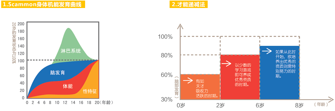 婴幼儿大脑发育曲线