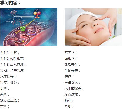 中医美容实操教学