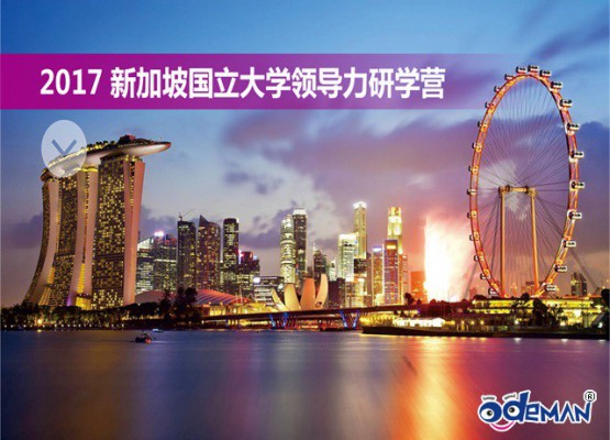 2017新加坡国立大学领导力研学营