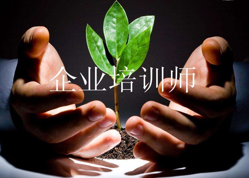 企业培训师工作场景