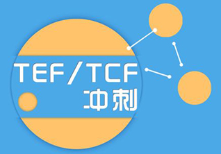 1对1法语*TCF/TEF