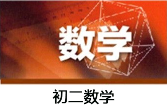 初中数学单科辅导班