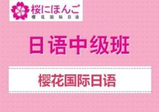 日语中级（567级）