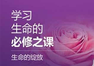 生命的绽放