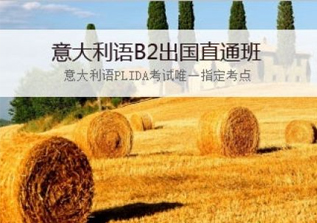 意大利语中级2-B2班