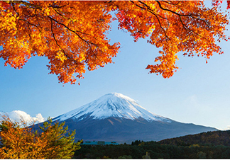 日本本州7天游学之旅