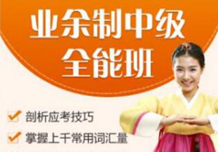 实用韩语中级