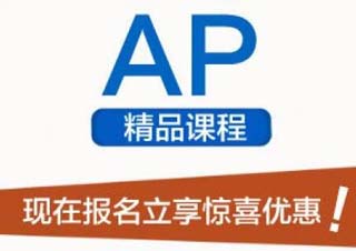 AP培优定制课程