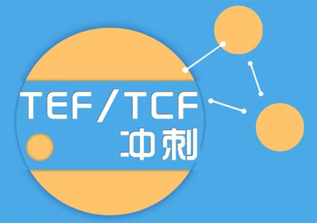 TCF-TEF口语训练及考前冲刺培训班