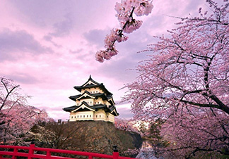 日本东京二次元经典游学之旅