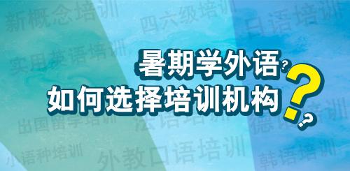 法语暑期课程课堂实景
