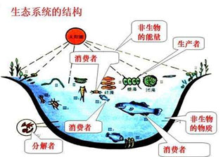 高三生物1对1辅导高考全面复习训练