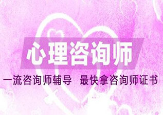 心理咨詢師（二級(jí)）