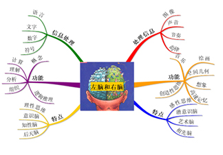 空间逻辑训练营