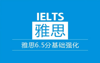 雅思全程精讲班（争6.5分）