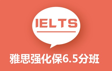 雅思一对一
