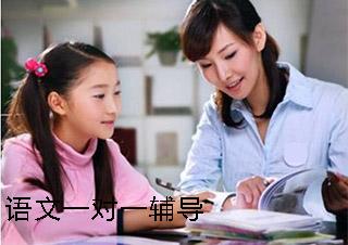 初中语文单科辅导班