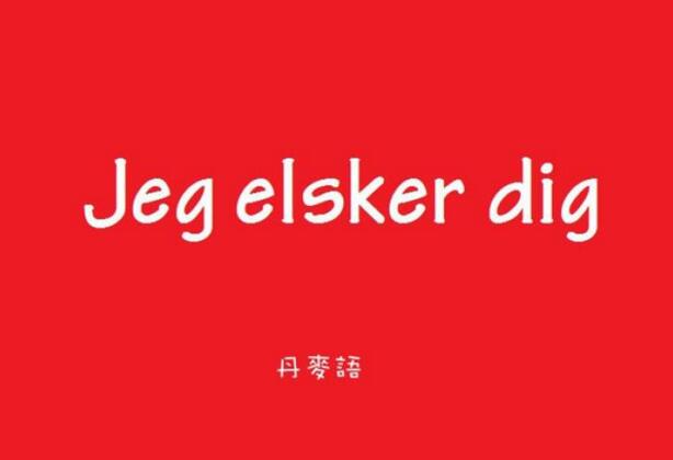 丹麦语课程体系