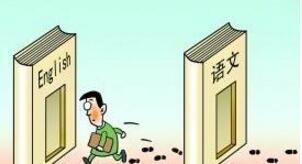 初中英语语文双科课程