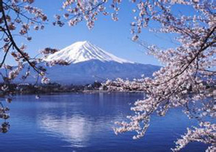 日本留学