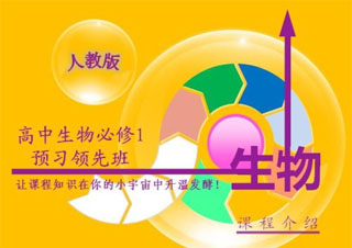 高二生物1对1辅导夯实基础巩固拔高