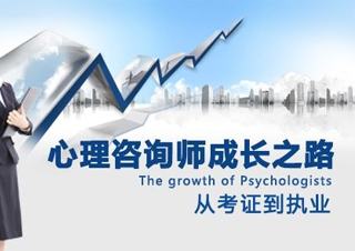 心理咨询师三级