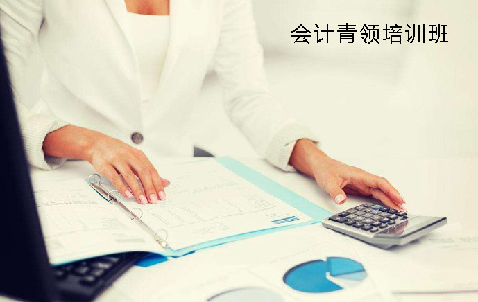 财务管理系统操作界面
