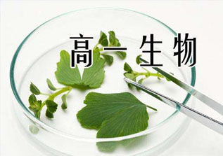 高一生物1对1辅导弥补短板巩固基础
