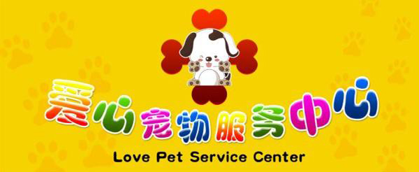 宠物医疗实操教学