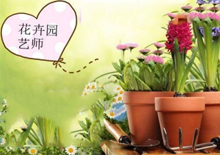 花卉园艺师（绿化工）