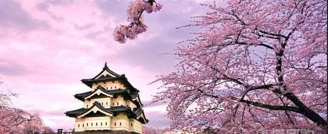日语N1课程体系