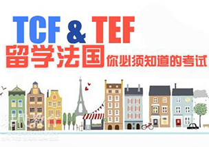 法语TCF/TEF400分课程