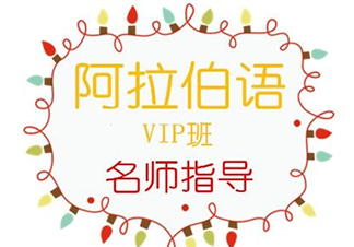 阿拉伯语一对多VIP