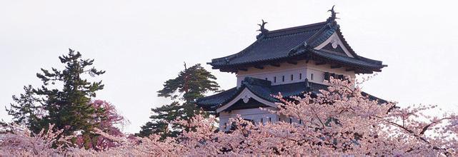 外教口语课堂实景
