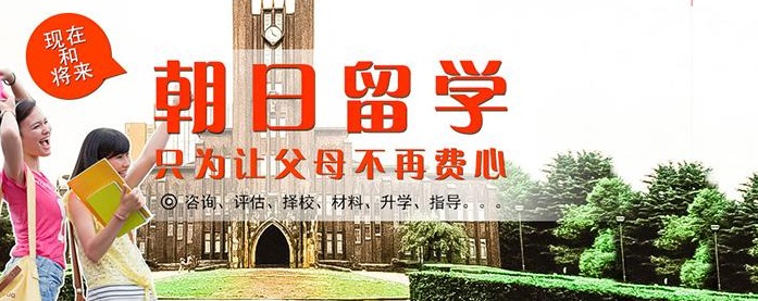 护理职业发展路径