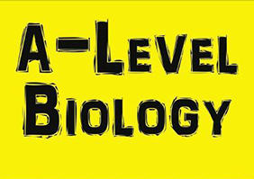 A-Level理科专业V3-6小班