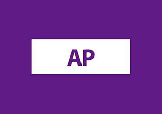 AP一对一VIP