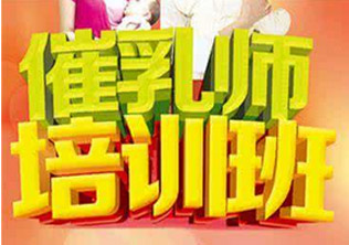 催乳师----爱婴宝贝