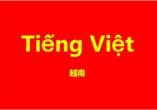 越南语培训一对多VIP