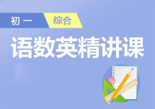 初一1对1精品培优课程