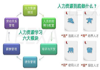 人力資源管理師一級(jí)