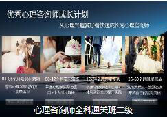 心理咨询师高效网课班二级